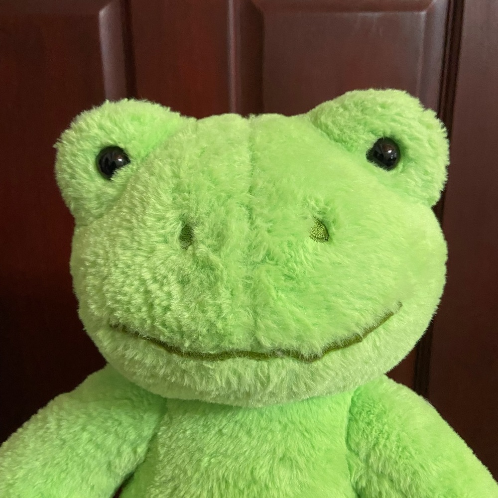 Build a bear frog